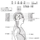 2014년 12월달 족소양담경 유주및 경혈 주치 이론및 골반교정 실기위주의 임상시술세미나 이미지