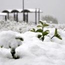 뚝섬한강공원-11 이미지