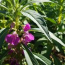 하이츠모텔 이미지