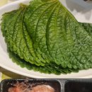 불타는꽃돼지 | 불타는 꽃돼지 화곡동맛집