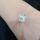 UR(부천시)-[길주로]-하-155 | [2024년 2월] 임신 중기 <25주> - 입체 초음파, 임당 검사 (부천서울여성병원)