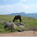 자장면시키신분 이미지