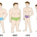 대송한의원 | 사상의학의 기본이론에 대하여..