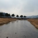 숲과개울펜션야영장 이미지