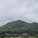 도룡/도룡골 네이버블로그