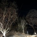 183 | [퀴에스] 남양주 별내 새벽 늦게까지 카페 후기
