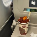 스위티독 | 묵호에 묵고