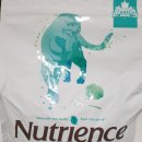 캣 | 뉴트리언스 그레인프리 인도어 캣 급여 후기