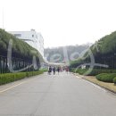 효성안양공장 앞 이미지