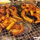 불꼼장어 이미지