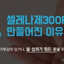 스마트셀약국 네이버블로그