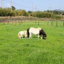 송사농장 이미지