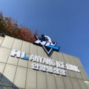 정관장평창점 | [HL안양] 2024-2025 아시아리그 아이스하키 경기 첫 직관 후기