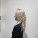 넉시 합정