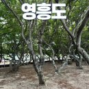 십리포 관광안내소 | 영흥도 놀거리 십리포해수욕장 물때 확인 방법