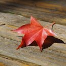 농장정육점 이미지