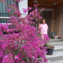 동부 할머니 이미지