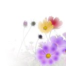 Relaxtion (뉴에이지) - Forever In Love (Kenny G)外 이미지