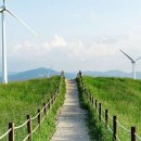 천원목장 이미지