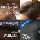 독일WT메소드