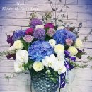 Blue Violet