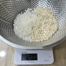 쌀과보리 | [이유식 일기] 222일, 중기 이유식 불린 쌀로 쌀 보리죽 만들기(밥솥)