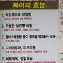 찹쌀칼국수