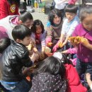 푸른샘 어린이도서관 이미지