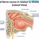 예인한방병원 이미지