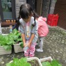 애벌레도서관 이미지