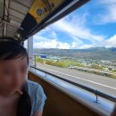 조우바 | 하와이액티비티 2가지 쿠알로아랜치, 다이아몬드헤드 예약 없이 가는 방법