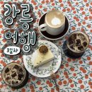 (주)병아리날다 | [2박 3일 강릉여행일기 3탄]💚강릉여행코스 추천, 오션뷰카페 추천! 강릉 카페 브리엘, 아기동물농장 후기💚