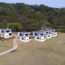 제이앤제이애견 이미지