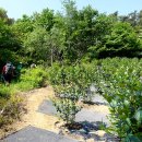 수청리농장 이미지