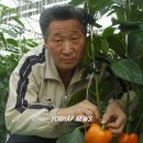 정영식농장 이미지