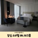 흥스테이 | [서울 아기랑 가볼 만한 곳] 잠실 소피텔 앰배서더 아코르 플래티넘 매그니피크룸 스테이플러스 숙박 후기