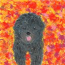 나무(NAMU) 이미지