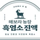 디자인보라 네이버블로그