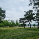 석림테크 | 여의도둘레길 걷기, 손목닥터9988로 활기찬 삶