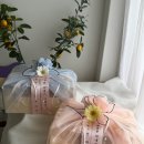 부산진구-11 | w. 부산 상견례 선물 🎁 정성 가득한 과일바구니, ‘더달콤 부산진구점’ 내돈내산 후기