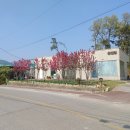 원적로381번길 이미지