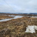 율곡천 4 이미지