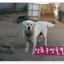 봄뜰에농장 이미지