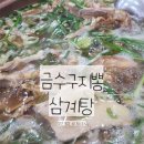 금수구지뽕삼계탕 | 포항 금수구지뽕삼계탕 부모님 모시고 좋은 보양식당으로 추천해요