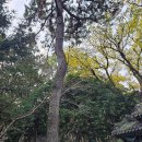 재단법인 고.양.부 삼성사재단 네이버블로그