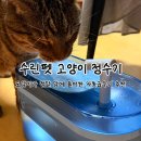 도담이 | 고양이 정수기 추천! 수린펫 대용량 자동 급수기 도담이가 직접 써보고 후기푼다!