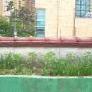 성한농장 이미지