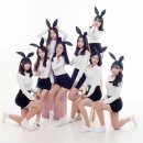 미스터포토 이미지