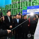 서울원예농업협동조합 이미지