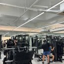 더헬스 앤 피티 이미지